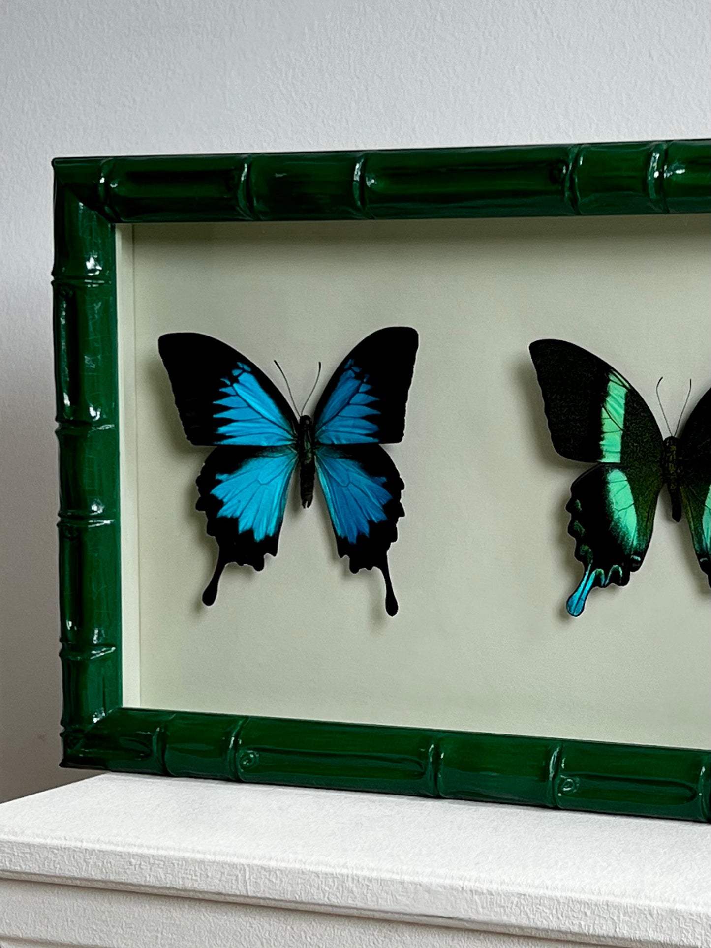 Colour Series - Green Swallowtails - UC STUDIO